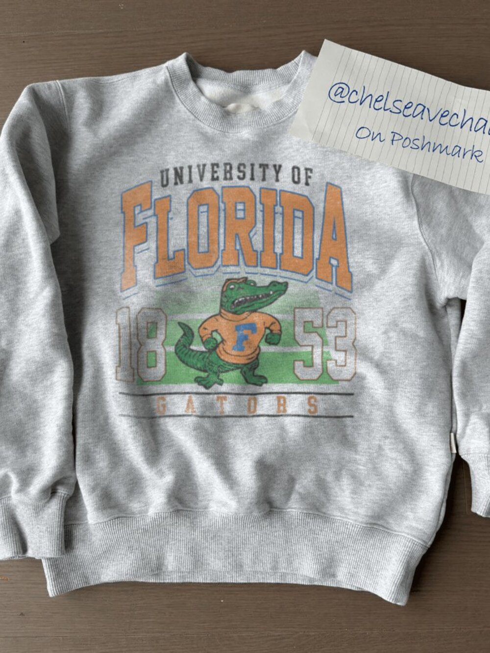 Retro 1853 Florida Gators Mascot Sweatshirt, Retro University of Florida Shirt